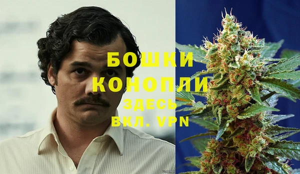 бошки Надым