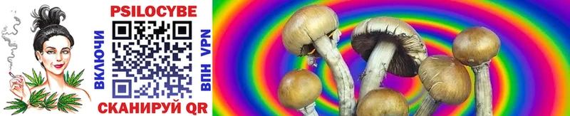 Псилоцибиновые грибы Cubensis  маркетплейс официальный сайт  Отрадное  ссылка на мегу как войти 