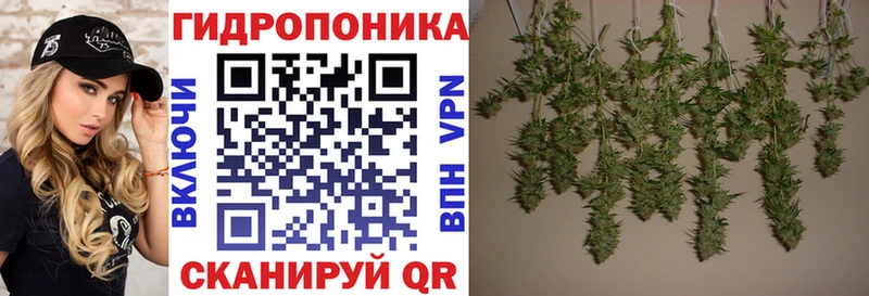 Каннабис марихуана  Отрадное 